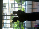 SANY0209