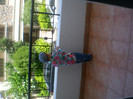 SANY0227