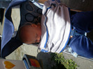 SANY0124
