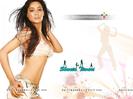 Shweta-Tiwari-Wallpaper-014