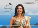 Shweta-Tiwari-Wallpaper-022