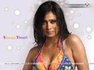 Shweta-Tiwari-Wallpaper-026