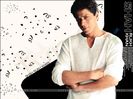 31200-shahrukh-khan