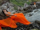 Anushka_Shetty_in_orange_saree3