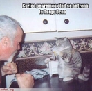 poze-amuzante-pisica-se-antreaneaza-la-targu-ocna