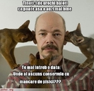 poze-amuzante-pisicile-isi-interogheza-stapanul