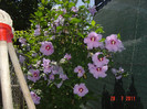 Picture 2270
