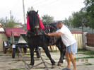 Picture 024