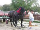 Picture 026