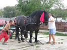 Picture 027