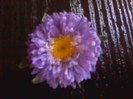 P280711_18.44_[01]
