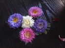 P280711_18.44_[04]
