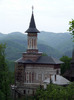 DSCF0537