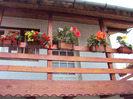 DSC02897