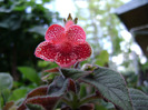 DSC07415