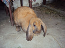 DSC02394