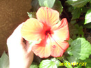 Picture 012