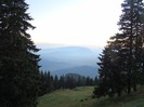 DSC07771