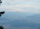 DSC07803