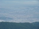 DSC07835
