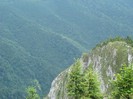 DSC07836