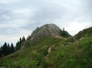 DSC07851