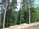 DSC07870