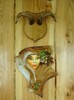 DSC07950