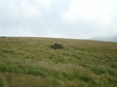 DSC07958
