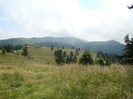 DSC07969