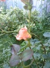 Fotografie0471