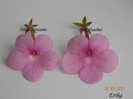 Peach Blossoms - Pink Panther cu nume