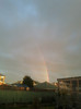 30.07.11 curcubeu