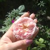 Abraham Darby