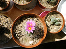 IMAG0025