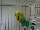 IMAG0051