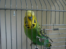 IMAG0054