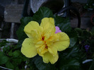 DSC07434