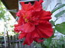 DSC07419