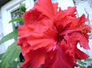 DSC07420