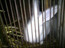 DSC01429