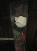 IMG_5093 - trandafir