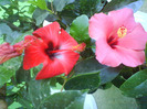 DSC06976