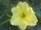 DSC06709