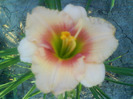DSC06645