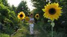 IMG_6694 - Cami cu florile - SUPERB