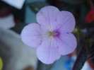 DSC09937