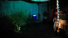 IMG_6898 - luminile din curte