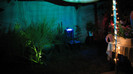 IMG_6900 - luminile din curte