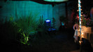 IMG_6903 - luminile din curte
